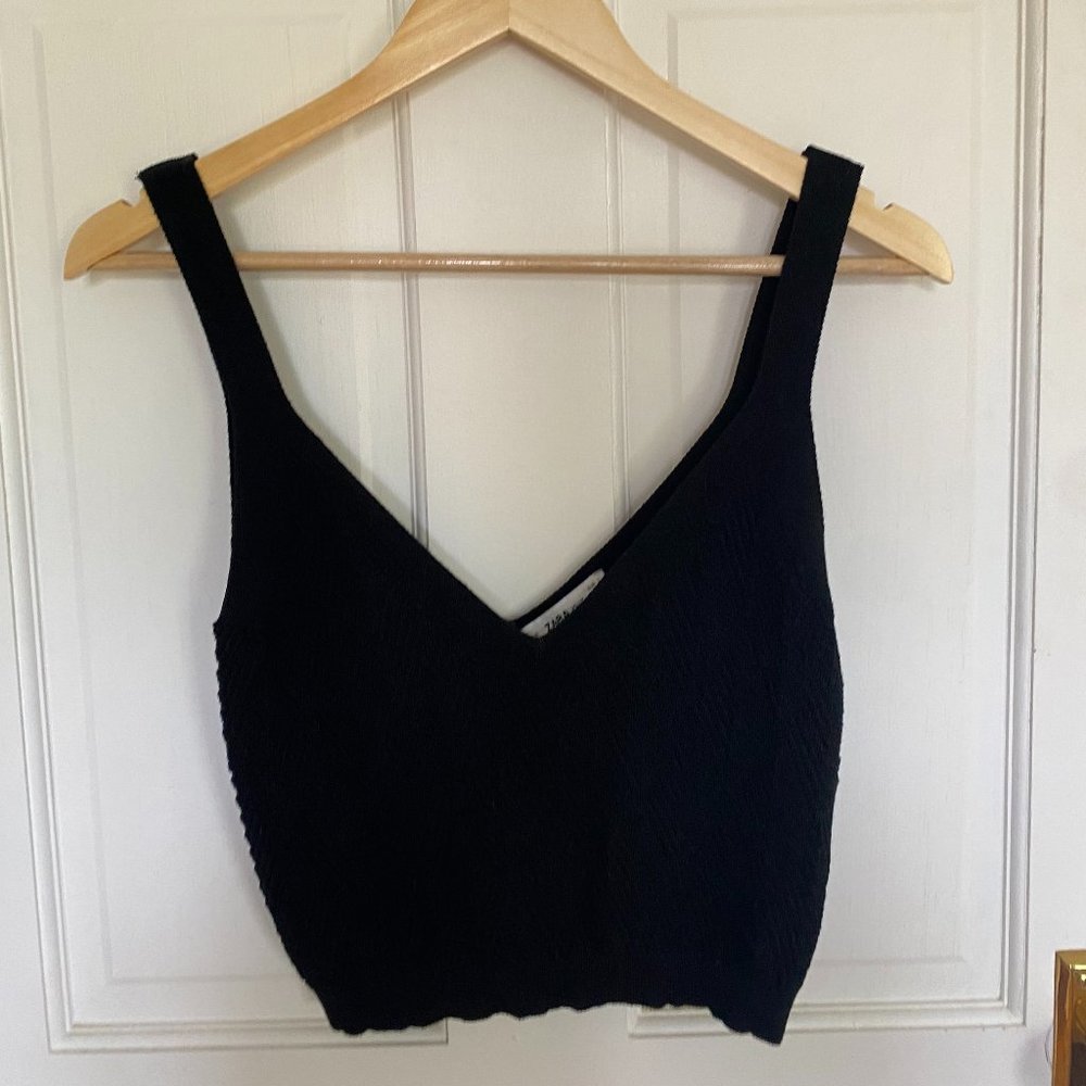 Zara Crochet Cropped Tank